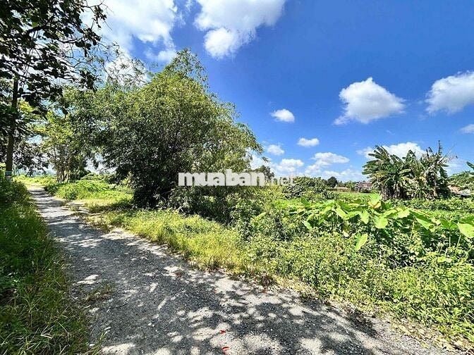 Chủ gởi bán 4900m2 đất thổ cư cầu ông Huyện Bình Mỹ