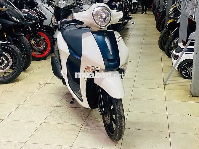 XE MÁY THỊNH PHÁT - JANUS 125 TRẮNG XANH CHÍNH CHỦ