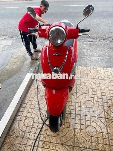 cần bán lẹ cứu chủ attila fi