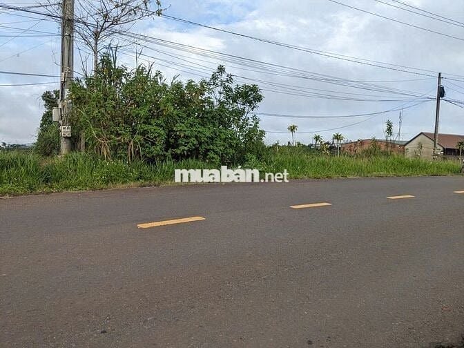 ĐẤT MẶT TIỀN ĐƯỜNG LÝ THÁI TỔ - CÓ THỔ CƯ