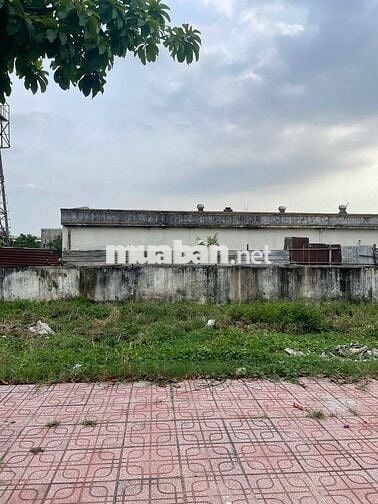 Bán Ngộp Đất Lái Thiêu Thuận An 950tr 100m2.Hợp đầu tư xây cho thuê