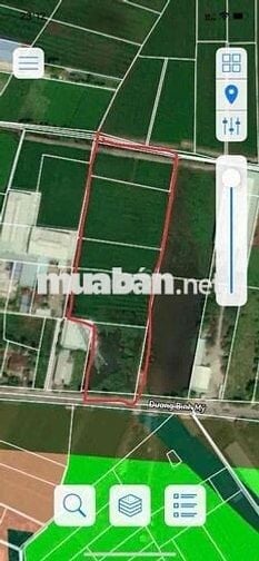 1,2 mẫu đất mặt tiền đường Bình Mỹ có thổ cư bán 82 tỷ