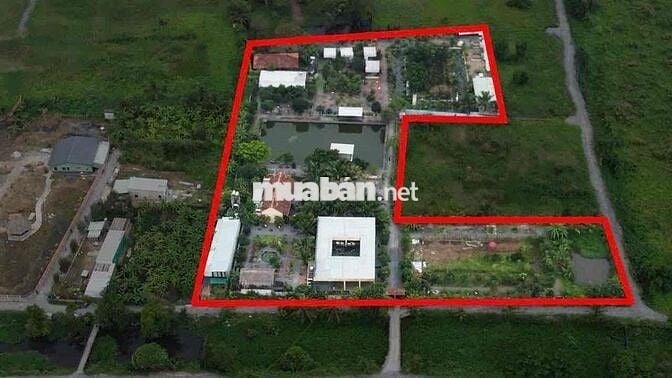 Bán nhà vườn nhiều cây ăn trái giá bán 100 tỷ