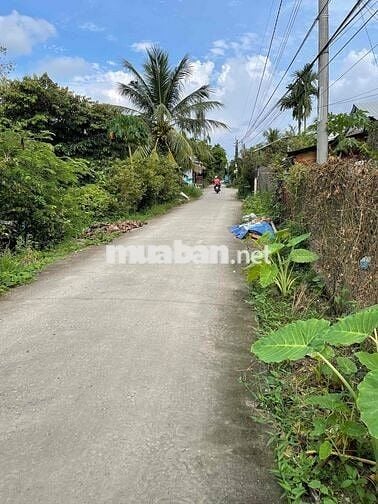 BÁN GẤP ĐẤT MẶT TIỀN LỘ GIỚI 4m gần chợ