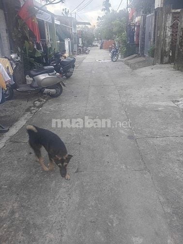 NHÀ CẤP 4 , KIỆT 151 ÂU CƠ , LIÊN CHIỂU