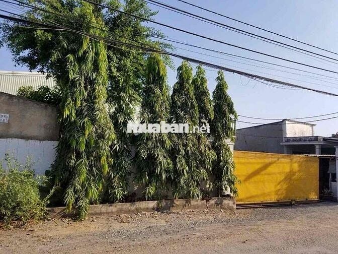 2300m2 xưởng đg 157 gần hocmon