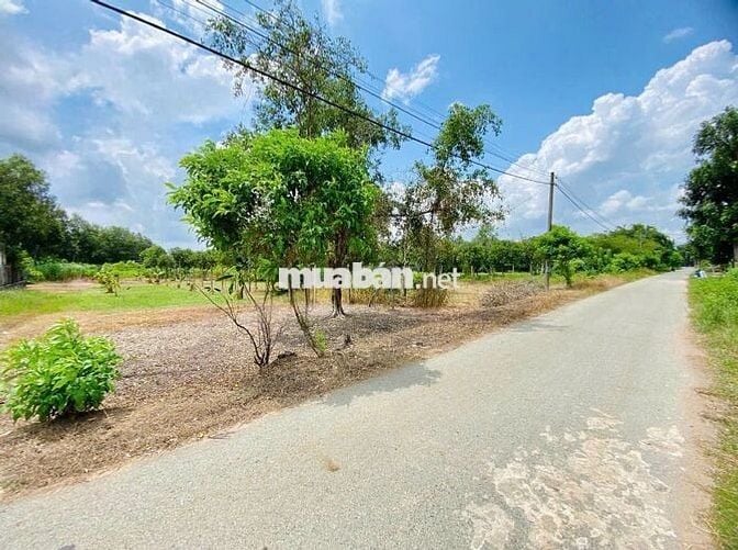 Kẹt tiền Bán Gấp Đất 300m2 ở xã Thái Mỹ giá 650tr