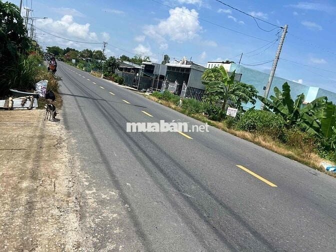 SIÊU PHẨM ĐẤT NỀN 1000M² – MẶT TIỀN TL842 P. AN BÌNH B, TP. HỒNG NGỰ