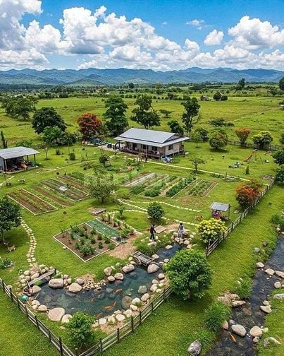 CHÍNH CHỦ BÁN ĐẤT TRANG TRẠI 50 NĂM DIỆN TÍCH 5000M Ở ĐÔNG ANH ,HÀ NỘI