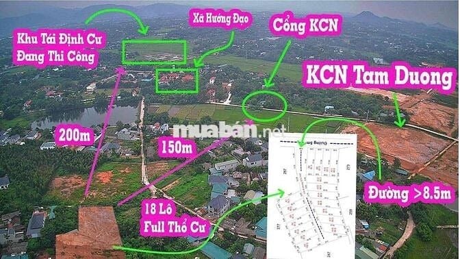 7xxtr Full thổ cư cách KCN Tam Dương 150m giá F0 cân tất cả xung quanh