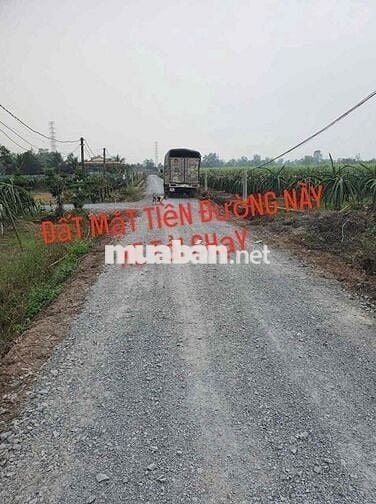 Cần tiền cho con du học, cần bán gấp đất Bến Lức- Long An