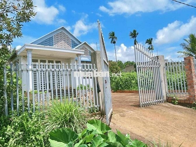 đất sổ hồng nhà ở đầy đủ dọn vô là ở