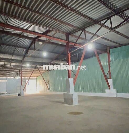 Cần cho thuê gấp kho ở Đường Số 25 Tân Quy diện tích 300m2