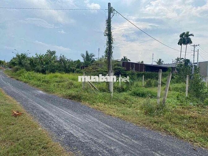 2773m2 đất thổ cư Bình Mỹ giá 25 tỷ