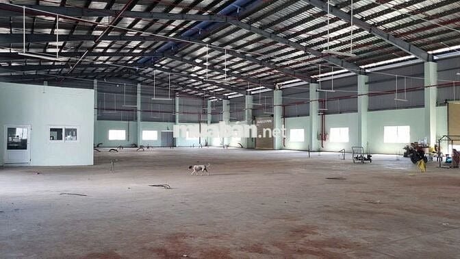 Cho thuê kho xưởng 5.000m2 - 10.000m2 , Bến Lức, Long An, PCCC tự động