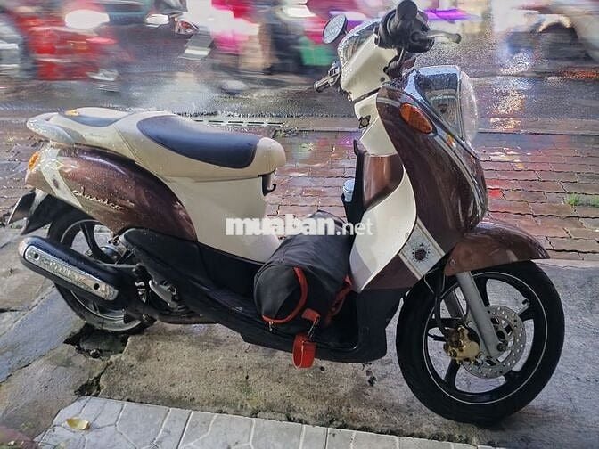 MIO CLASSIO 2011 Classico Nâu kem