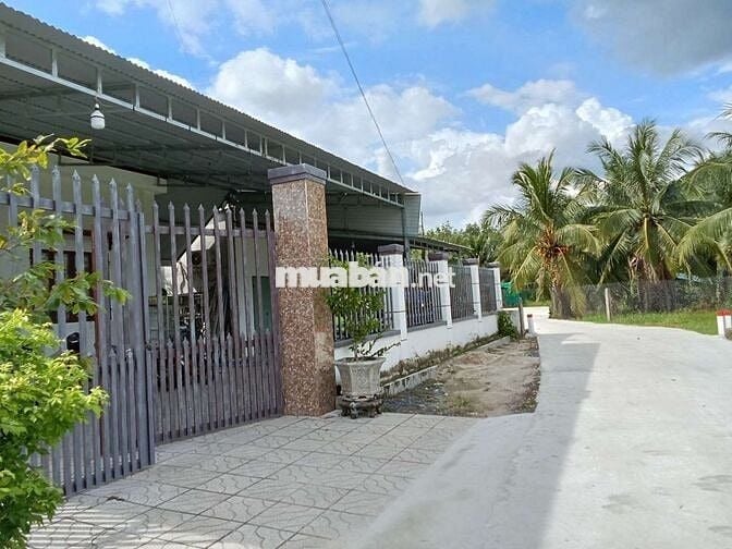 Nhà mái thái chính chủ cần bán gấp