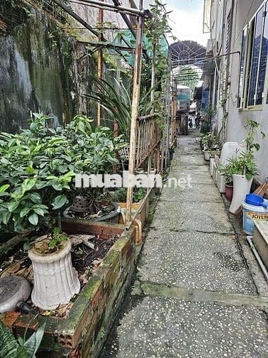 PHÒNG TRỌ 15M2 XANH NHƯ TRÁI TIM EM MỖI SÁNG! 🌿