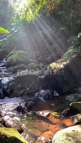  Bán gấp lô đất 1200m² nằm ngay Hồ Trị An giá 850 triệu view đẹp