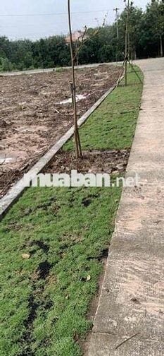 Gần TTHC xã Phước Thành có lô đất thổ cư SHR mt đường huyện lớn