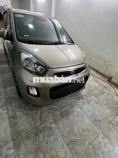 MORRNING DOI 2019  Mt