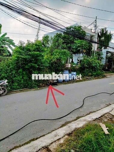 Bán lô đất mặt tiền đường tân phước dĩ An DT 600m2