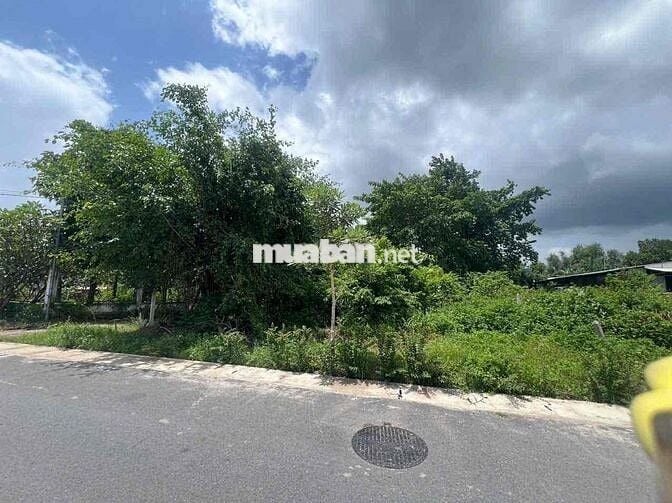 rẻ quá 12m mặt tiền Dx mà giá chưa đến 10tr/m2 tặng bản vẽ nhà vườn