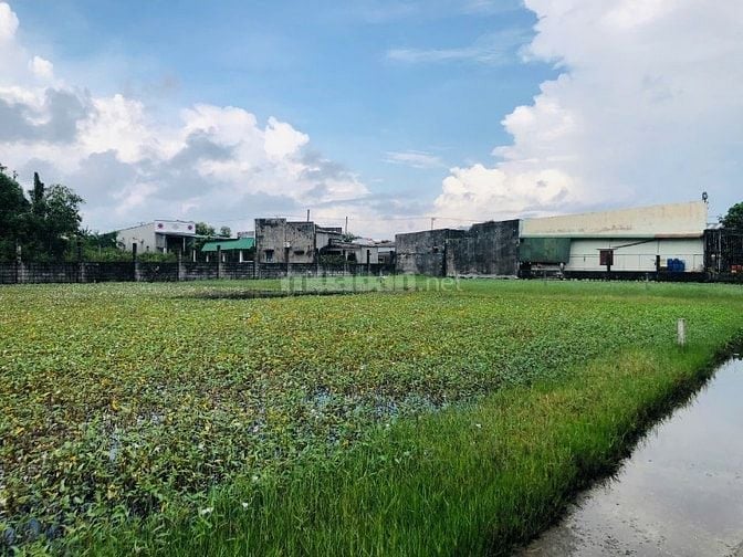 5x30(146m2) Full Thổ Cư, Hẻm Lê Minh Công Tân Phước LaGi Gần Biển