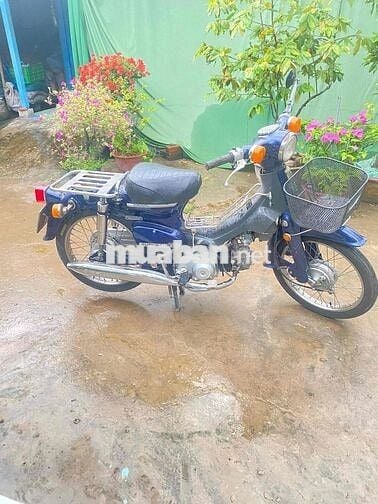 Honda cup 50cc có đề( bs 65 )