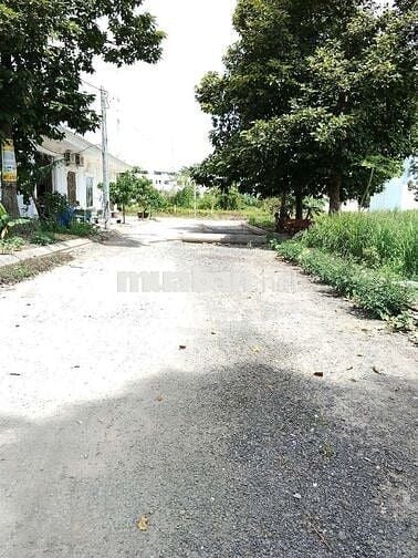 cần tiền bán gấp, đất khu dân cư 135