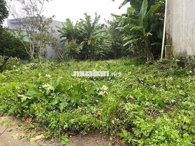 Chính chủ cần bán 200m2 đất ở Quan Châu