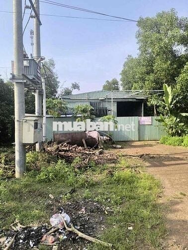 Cần cho thuê nhà xưởng MT DT768 Trị An Đồng Nai