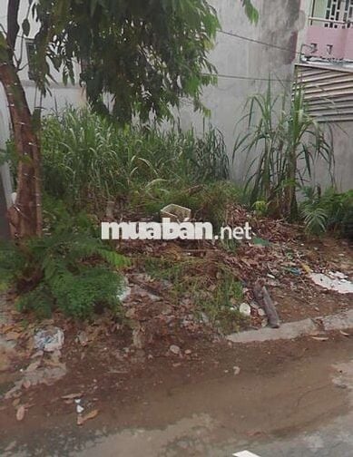 BÁN LÔ ĐẤT 620 TRIỆU  98m2 NGAY  KCN CẦU TRÀM. SHR, ĐƯỜNG OTO 4,5m