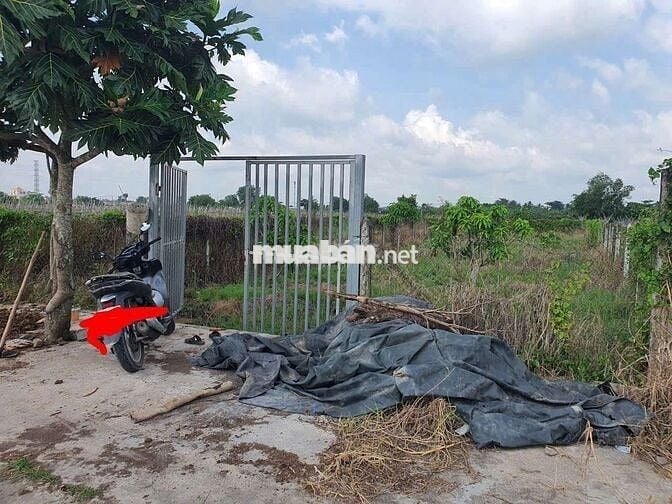 Sổ đỏ chính chủ, bán gấp đất vườn