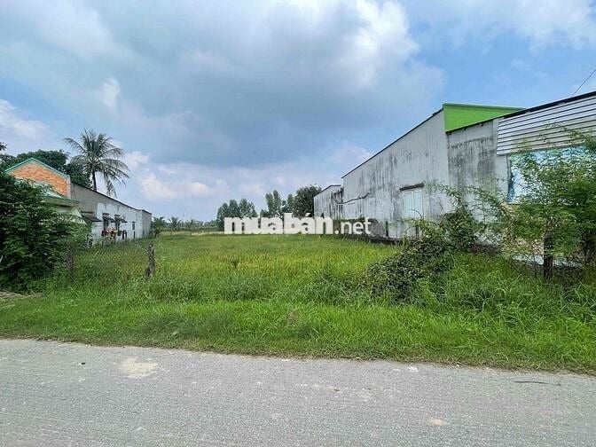 500m2 ĐẤT THỔ CƯ ĐƯỜNG CÂY TRÔM MỸ KHÁNH GIÁ CHỈ 5tr/m2