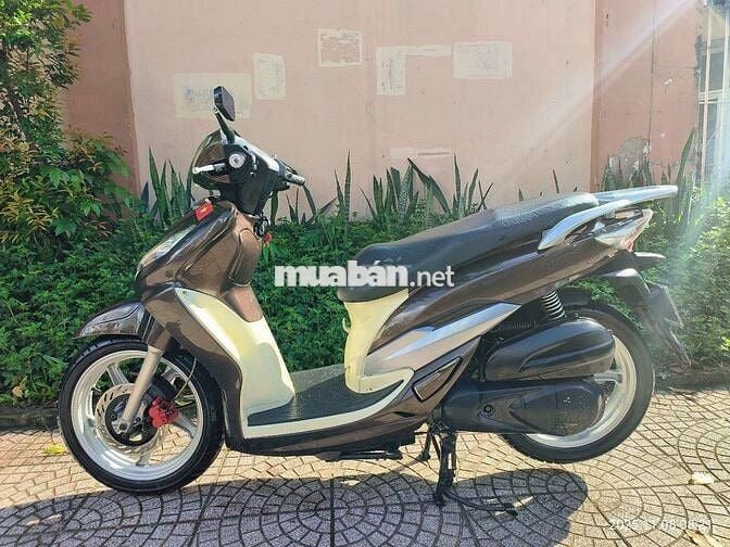 Bán xe shark biển đẹp phong thủy