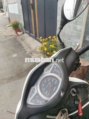 bán gấp mua xe khác