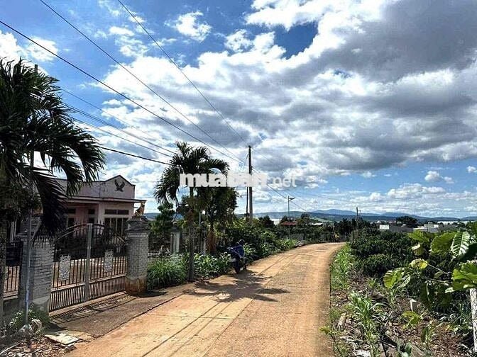 TÂN HỘI GẦN CHỢ GIÁ RẺ BẤT NGỜ