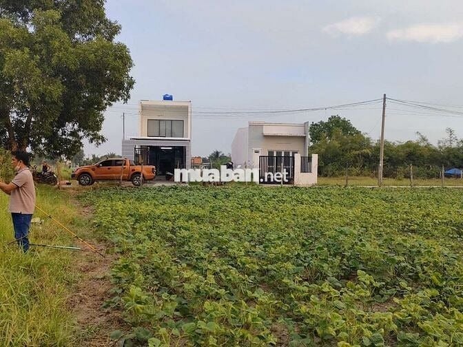 Bán đất sát QLN2 đức hòa 385m2 chính chủ thổ cư