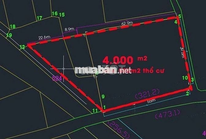 Bán 4.000m đất lúa LUK có 500 thổ cư, gần nút giao cao tốc Mộc Bài