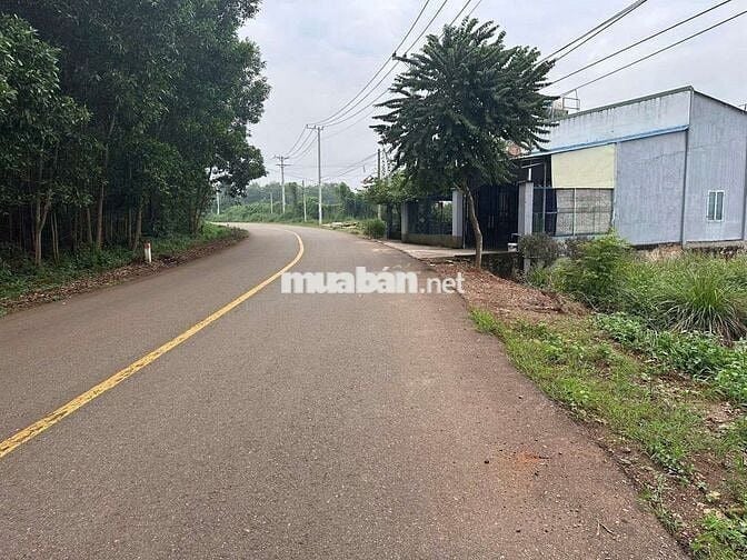 Đất 2mt đg tđ7 hắc dịch phú mỹ, tặng  nhà cấp 4 ,dt:7.6x22 giá 1.65ty