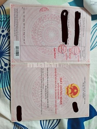 Tôi chính chủ cần bán miếng đất Nhơn Trạch, Đồng Nai đường hẻm Võ Thị 