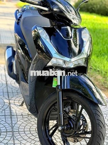 Sh 125 2024 biển 43. áo dán keo nguyên con