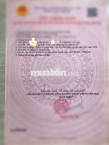 Hồ Tràm, mặt tiền đường ODA 28m, Sổ đỏ mới 2025