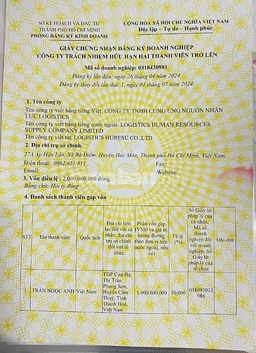 Bố cáo giải thể Công ty TNHH Cung Ứng Nguồn Nhân Lực Logistics 