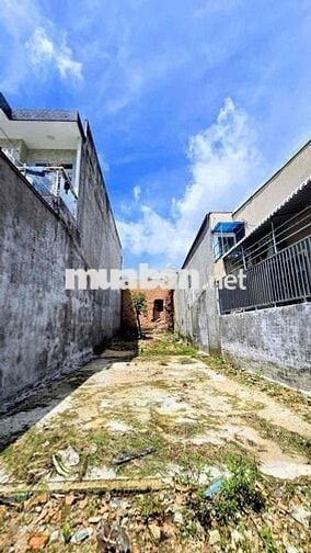 Lô đât đẹp Tam Hoà sổ riêng cơ sở hạ tằng cống vi hè đầy đủ xây liền