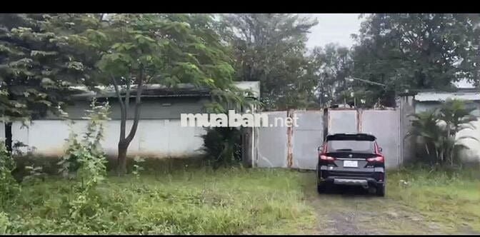 Bán gấp lô đất hơn 1 hec mặt đường Trương Thị Như Hóc Môn