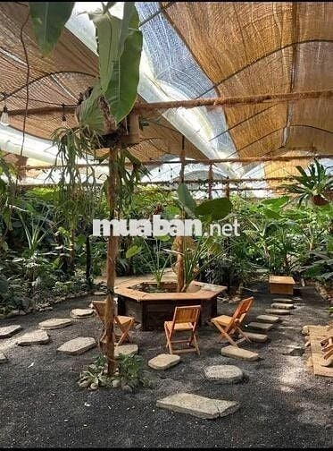 Cần sang quán cà phê tâm huyết (link googlemap dưới mô tả cho anh em)