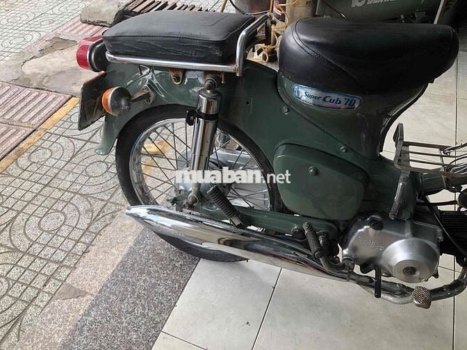 du xe cân ban cup 50