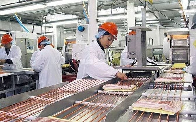 Tuyển 30 nam NV đứng máy sản xuất chế biến cá viên xúc xích 